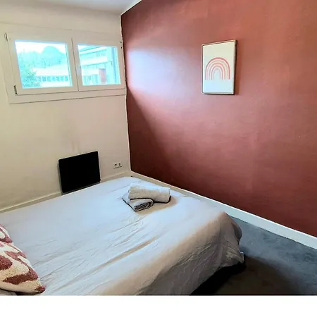 Cosy Chic Au Coeur De Lourdes-wifi-parking *