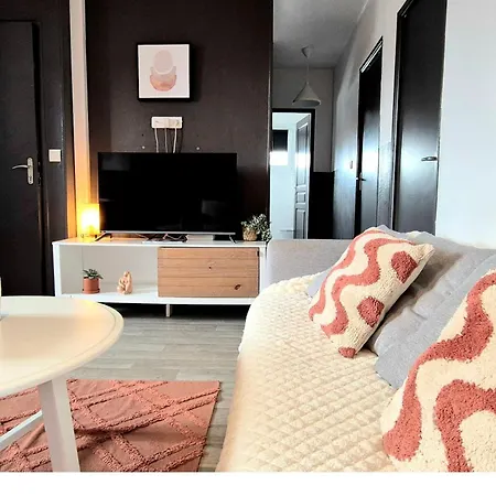 Cosy Chic Au Coeur De Lourdes-wifi-parking لورد